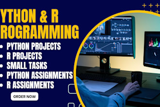 do python and r projects,  and tasks