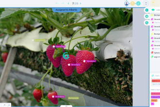 do data labelling and annotation for object detection