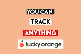 setup lucky orange for your wordpress website