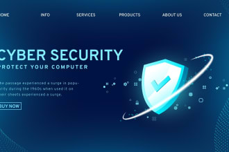 do penetration and vulnerability test on your website