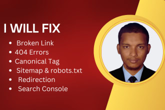 fix broken link, 404 errors and canonical tag in wordpress website