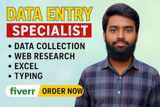 fastest data entry, perfect excel data entry 24hrs