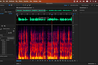 edit, clean, and improve your voice
