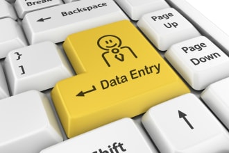 do data typist and do data entry very fastly and correctly