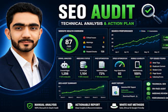 perform a professional SEO audit with a custom action plan