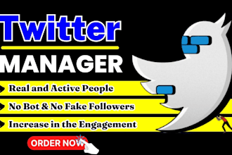 be your twitter x marketing manager, and grow your page