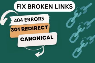 fix broken links,404 errors, canonical, schema markup with all indexing issues