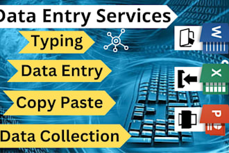 do excel data entry, word documents, reports and assignments