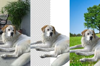 cut out and remove background professionally