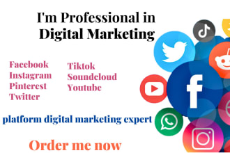 teach you everything about social media marketing
