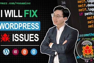 fix wordpress issues or errors, responsive