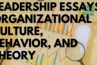 write leadership essays, organizational culture, behavior, theory and culture