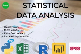 perform statistical data analysis with r, spss, stata, excel and python