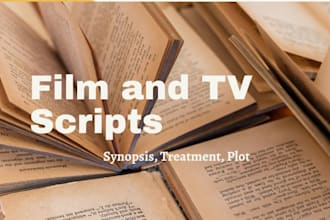 write professional  screenplays for your films and TV