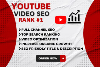 do best youtube video SEO expert channel optimization and  growth ranking