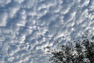 capture pictures that are unique upon your request