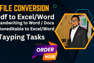 convert pdf to word, pdf to excel, and typing task, copy paste