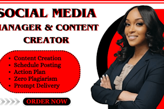 be social media marketing manager,tiktok ads,content creation,fb,ig promotion