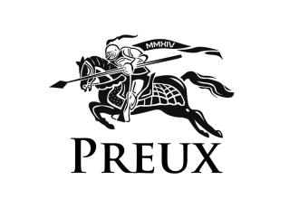 make professional modern arms crest coat heraldry logo design