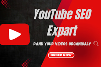 do youtube video SEO for you