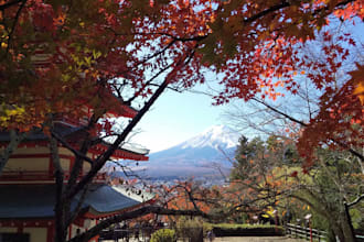 teach you japanese language