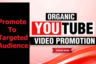 do professional and organic top youtube channel promotion