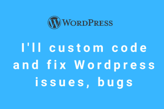 custom code and fix wordpress, elementor, learndash, astra issues, bugs, errors