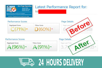 speed up wordpress website with 90 scores within 24 hours