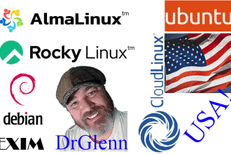 perform technical work on linux type web servers and wordpress related systems