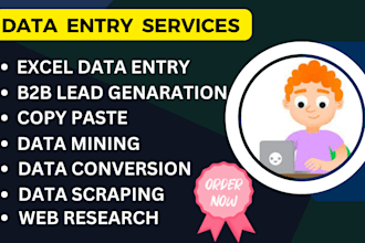 do excel data entry, copy paste and b2b lead generation