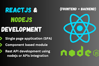 do web development with reactjs and nodejs