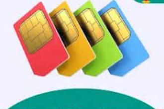 provide any network sim data