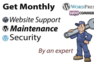 do monthly wordpress maintenance, security and support