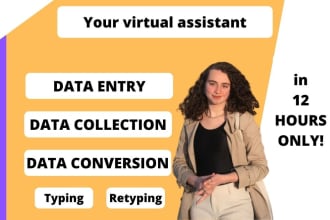 do data entry, typing work, convert PDF to word, data collection