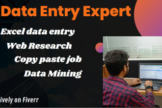 do accurate data entry, web research, copy paste and excel data entry job