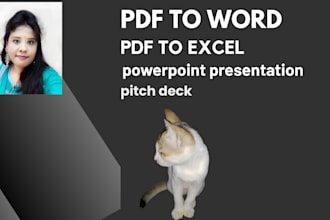convert PDF to word, do typing and pptx formatting