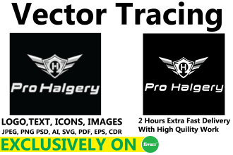 vector trace, redraw, recreate logo or image