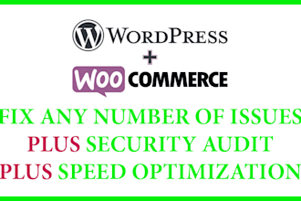 fix any issues or errors on your wordpress or woo commerce site