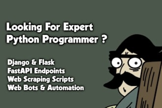 python expert for python script, API, web development