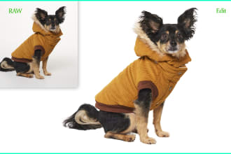dog hair masking and  remove background product retouch