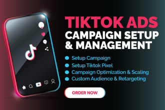 run tiktok ads campaign, tik tok ads, tiktok advertising