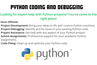 write and debug python codes and projects