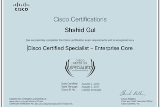 do  ccna ccnp asa and fortigate firewall  and networking related tasks