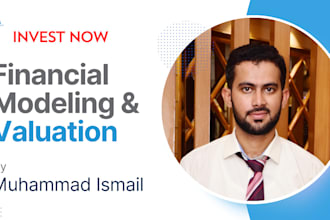 craft financial model and business plan for startup funding
