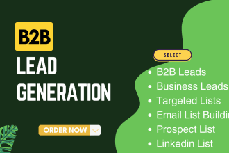 provide targeted b2b lead generation