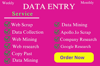do data entry, data collection, copy paste, web scraping