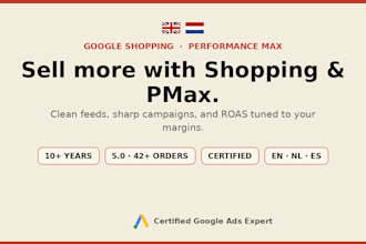 set up google shopping and performance max ads