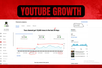 be your youtube channel manager and SEO expert