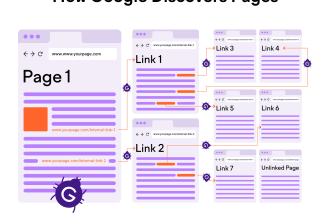 do surfer seo content audit for internal link opportunities