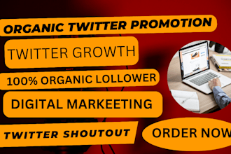do professional twitter promotion, growth, shoutout on my crypto
